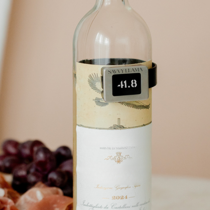 The Wine Enthusiast Starter Kit