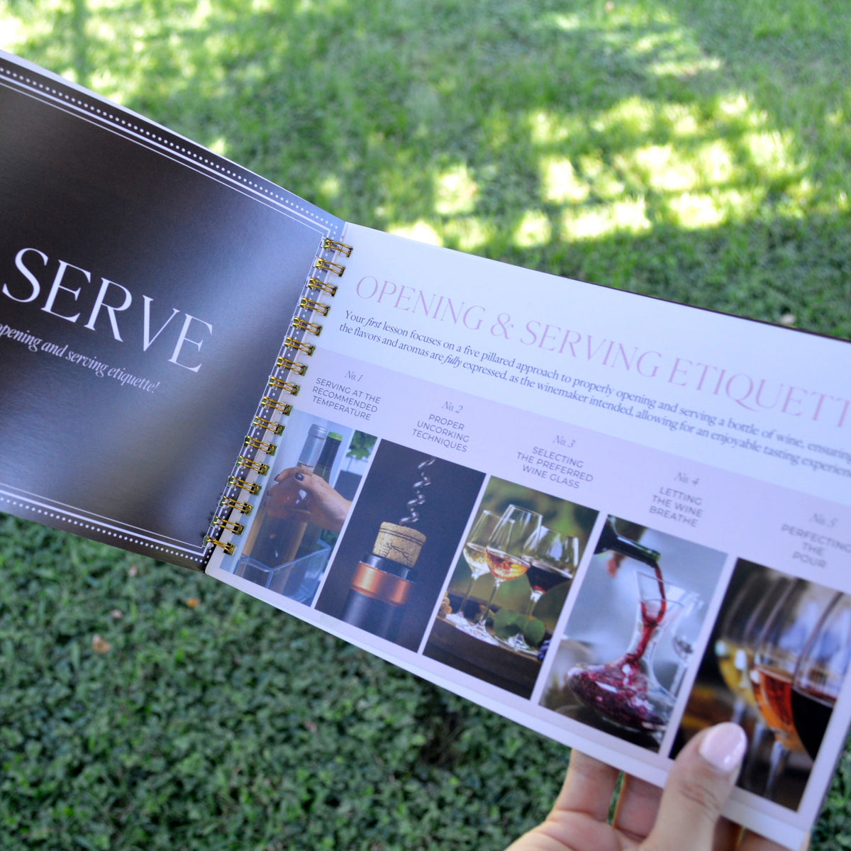 Savvy Llama Starker Kit guide showcasing the 5 step opening and serving ritual in the booklet on a green background. 