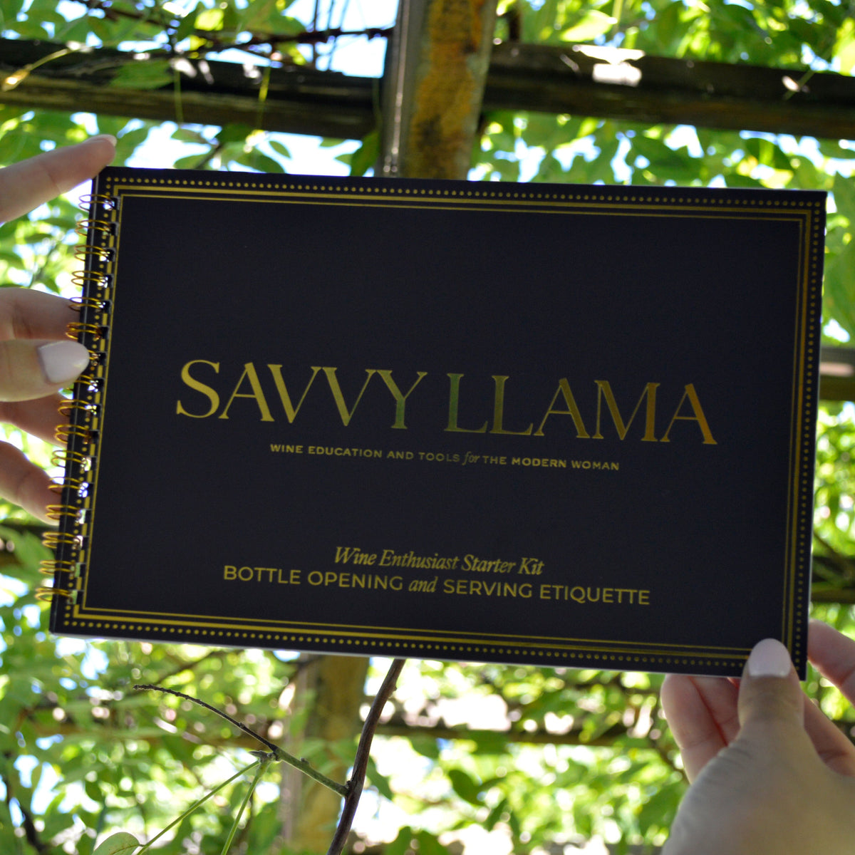 Savvy Llama Wine Enthusiast Starter Kit's somm in a box guide with gold foil and dark chocolate colored cover serving as the sommelier in a box guide. Being held up to the light through some foliage.