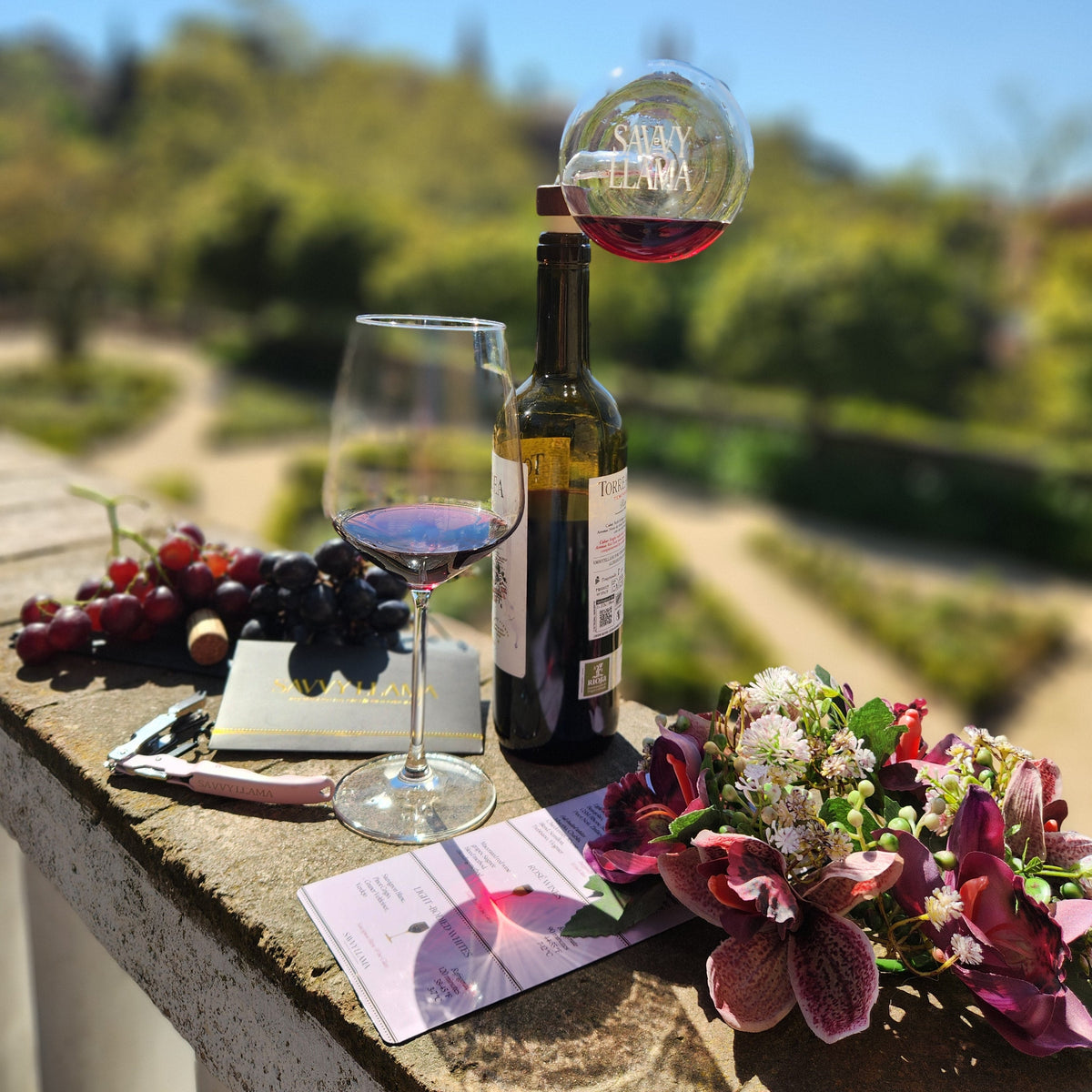 Products from the SAvvy Llama Wine Enthusiast Starter kit on display in Barcelona National Park. A bottle of red wine with a glass on the bottle decanter and a filled wine glass, grapes, and a flower arrangement on a stone ledge with a blurred green background.