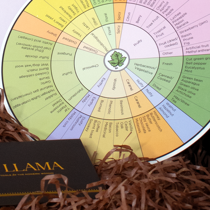 The aroma wheel from the Savvy Llama wine tasting kit ready for a guided at-home wine tasting, helping women describe and discover wine with confidence.