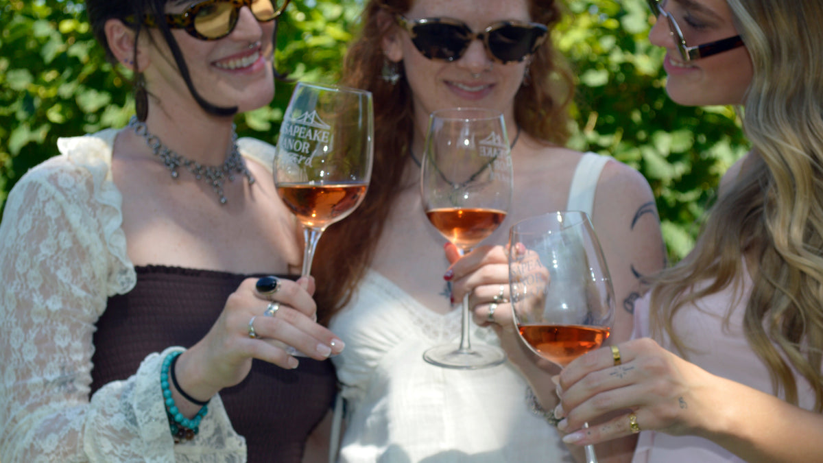 Savvy Llama Bottle Club members at a lively wine night, the private women's wine sisterhood community included with the Wine Confidence Program membership when women enroll